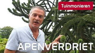 Apenverdriet  Tuinieren  Tuinmanieren [upl. by Oniram]