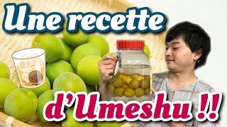 CUISINE JAPONAISE  ALCOOL DE PRUNES JAPONAISES UMESHU [upl. by Tisha]