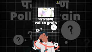 What is Pollen Grains biology pollengrain shorts  Krishnakant Sir [upl. by Nelac]