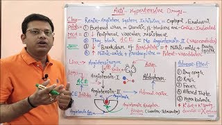 Antihypertensive Drugs Part 05  ReninAngiotensin System Inhibitors  RAAS Mechanism of Action [upl. by Rambort]