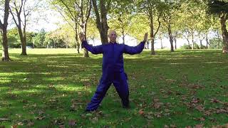 Tai Chi Qigong Shibashi Set 1 [upl. by Otcefrep]