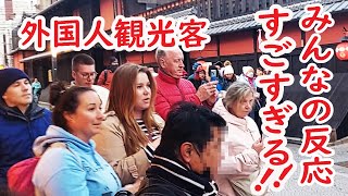 【リアルな海外の反応】外国人観光客の感激がすごすぎる！舞妓さんに会えて素晴らしい日本の旅が完結！ [upl. by Mannes]