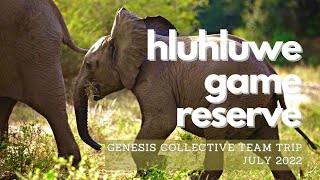 Hluhluwe Game Reserve [upl. by Hedy]