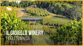 Il Gioiello Winery  Fiddletown California [upl. by Narual802]