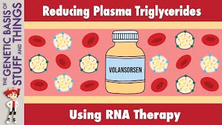 Volanesorsen A novel treatment for high triglyceride levels [upl. by Tebasile219]