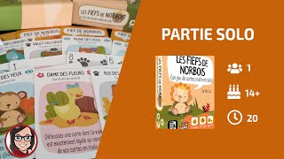 LES FIEFS DE NORBOIS 1  Campagne 1  Jeu Solo Addictif [upl. by Lraep176]