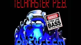 Techmaster PEB  Electronic Power [upl. by Anitrak]