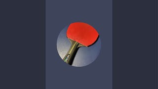 Table tennis 202410292 [upl. by Richella]