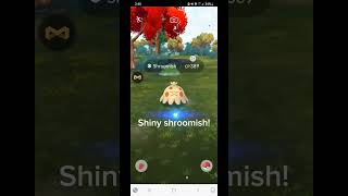 Shiny shroomish [upl. by Anirrehs]