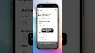 Is Your iPhone STOLEN IMEI Check in 1 Minute [upl. by Sitof321]