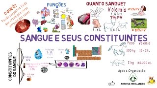 Sangue e seus constituintes [upl. by Adnohr396]