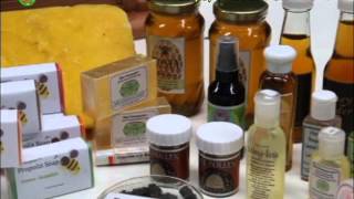 Stingless Bee Production amp Product Processing Part 1 [upl. by Aerdnac]