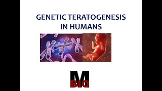 GENETIC TERATOGENESIS IN HUMANS [upl. by Clinton]