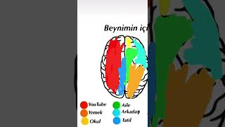 Beynimin içi [upl. by Pru]