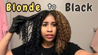 Going from Blonde to Black…Did I make a big mistake [upl. by Bridgid381]