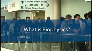 What is Biophysics [upl. by Hamil749]