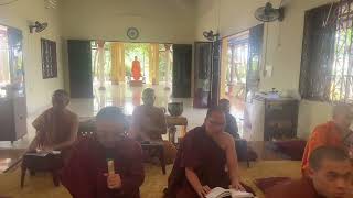 Bài kinh Tê Giác rất hayChùa Quang Minh phuocsonmedia vipassana vipassanameditation [upl. by Acinhoj663]