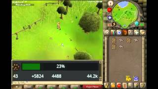 RS07 Max Xp Only  How To 4350 Hunter Spotted Kebbit Guide Falconry [upl. by Anir]