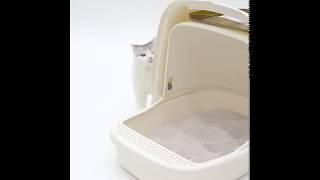 Pets Kampong Indonesia CatIdea Cat pan Hooded Litter Box Bak Pasir kucing tertutup [upl. by Amarillas246]