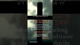 2 TIMOTHY 31617 VERSE OF THE DAY motivationalvideo bibleverse inspirational verseoftheday [upl. by Brockie]