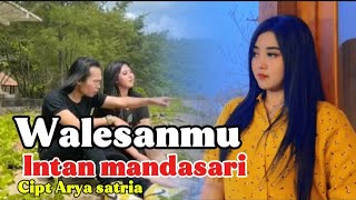 WALESANMU INTAN MANDASARI Sepimu tak kancani [upl. by Euphemiah]