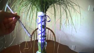 Easy palm tree centerpiece  quick 5 minute tutorial [upl. by Benedetta122]