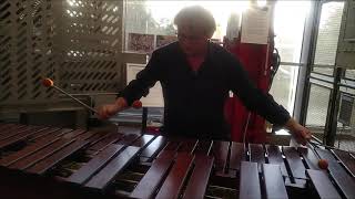 quotDance With The Dschinnquot Marimba amp Percussion  Gerhard Stengert [upl. by Skipper719]