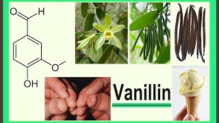 vanillin [upl. by Tana]