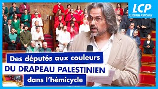 Guerre à Gaza  des députés aux couleurs du drapeau palestinien dans lhémicycle  04062024 [upl. by Deibel]