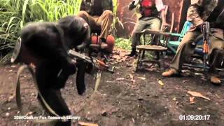 Ape With AK47  Обезьяна с автоматом Калашникова [upl. by Dixie]