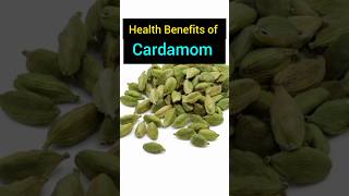 Cardamom benefits elaichi shorts cardamom healthtips viralvideo trending [upl. by Yun]