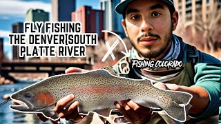 Fly Fishing the Denver South Platte River 2024 [upl. by Xylon]