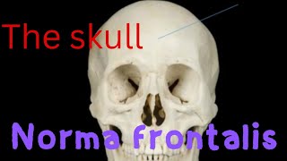 Anatomy of the skullNorma Frontalis  with easy method  Anatomy with dr faiza [upl. by Fridlund151]