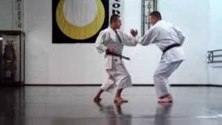 Sensei Okuda 8 DAN JKA [upl. by Omar]