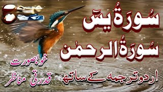 surah rehman ki tilawat tarjuma ke sath  surah yaseen full tarjuma ka sath [upl. by Anawqahs]