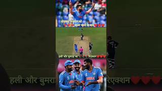 cricket viratkohli cricketlover hardikpandya ipl teamindia youtubeshorts cricketshorts view [upl. by Namyl]