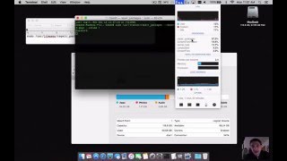 Mac El Capitan How To Repair Disk Permissions Terminal [upl. by Ginsberg91]