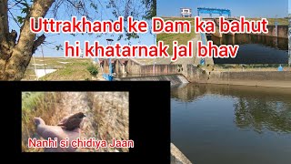 pyari si chidiya nanhi si Jaan devbhumi Uttrakhand mein Dam ke Pani mein bahut hi bada dhamaka [upl. by Wayolle]