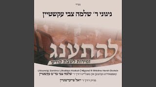 Meyein Olam Haba feat Shloime Hersh Ekstein [upl. by Alig376]