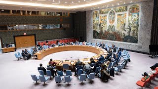 Linkage of Counterterrorism and transnational organized crime  Security Council 6 August 2020 [upl. by Abrahan555]