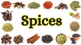 Spices Names In English With Pictures  Spice Vocabulary  Names of different Spice [upl. by Castle]