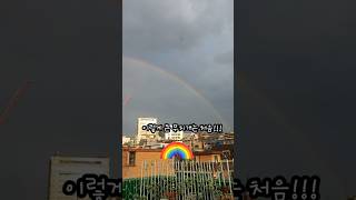 분갈이 하던 중 본 대형 무지개 🌈 [upl. by Ahsiket]