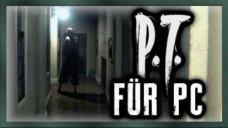 Lets Test PT PC EMULATION 👻 Der gelöschte Hit der PS4 [upl. by Norval832]