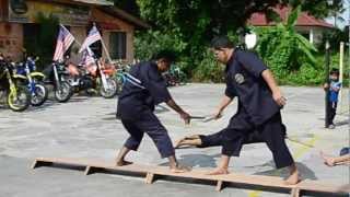 DEMO SILAT CHEKAK SILAT PAPAN SEKEPING PSCSPSM  PUCHONGOKT 2012 [upl. by Enimasaj]