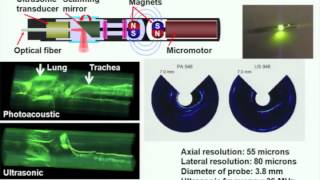 Photoacoustic tomography ultrasonically breaking through the optical diffusion limit [upl. by Malim]