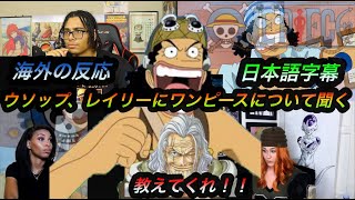 【海外の反応ワンピース】ウソップ、レイリーにONE PIECEについて聞く 【日本語字幕】 [upl. by Eldnik]