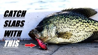 This LURE catch SLAB Crappie in the Fall Lipless Crankbait EP 26 of 30 Day challenge [upl. by Korrie]