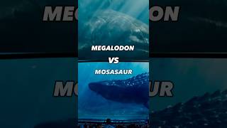 Megalodon VS Mosasaur  reallife shark megalodon vs mosasaurus [upl. by Enimajneb]