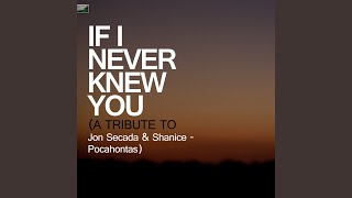 If I Never Knew You A Tribute to Jon Secada amp Shanice  Pocahontas [upl. by Schild]