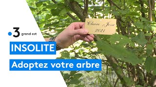 Adoptez votre arbre sur la colline de Sion [upl. by Lohrman]